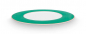 Preview: Pip Studio,Teller, Chique Gold-Green , Ø 28 cm, Art.-Nr. 51.001.350