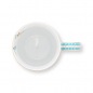 Preview: Pip Studio, Tasse, Jolie Flowers Green, 350 ml, Art.-Nr. 51.002.297