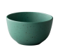 Preview: Q Authentic, Schale, Tinto Green, Ø 14 cm, Art.-Nr. QU62006