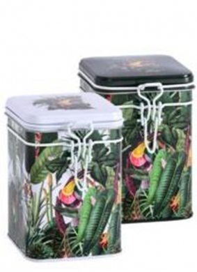 Eigenart, Dose, Rainforest, Bunt, 2er Set