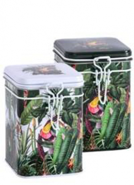 Eigenart, Dose, Rainforest, Bunt, 2er Set